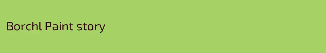 Borchl Paint story